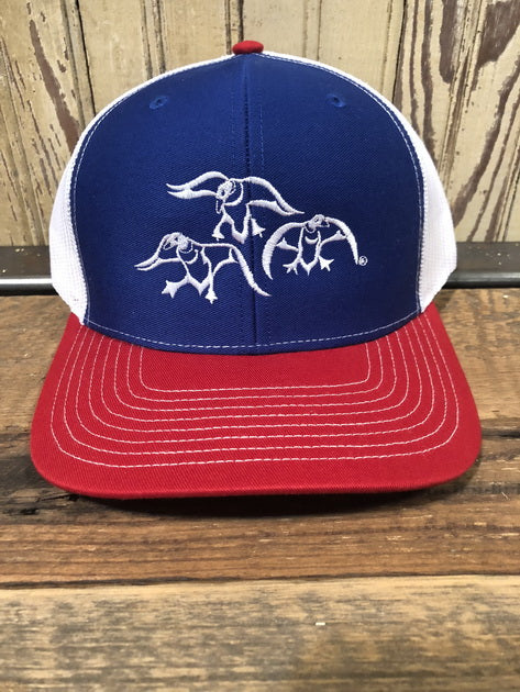 Red white blue patagonia hat online